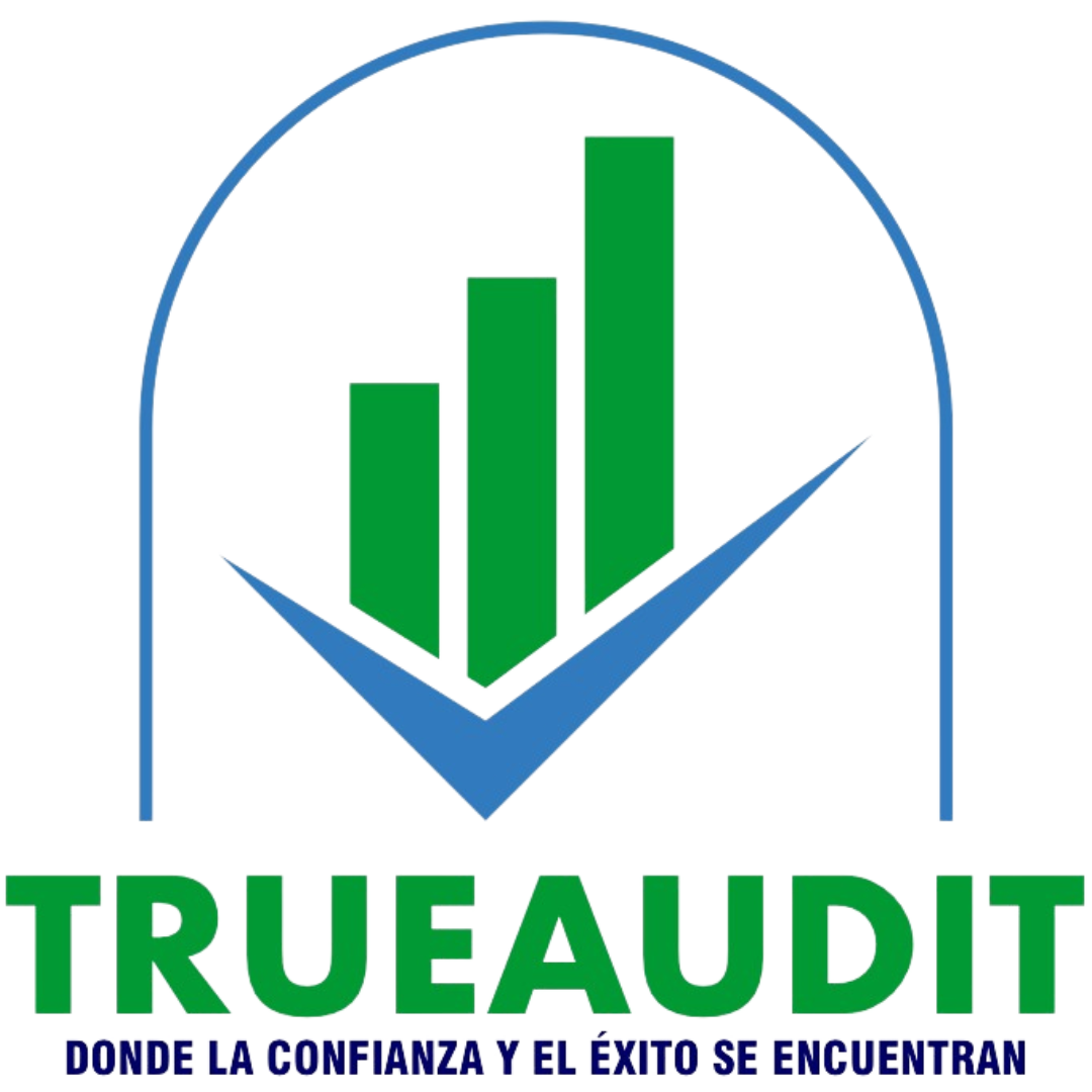 www.trueaudit.ec